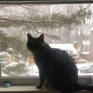 Meet your Posher, Schuyler